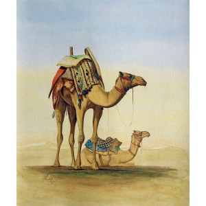 S. A. Noory, Camel of desert I, 12 x 15 Inch, Watercolor on Paper, AC-SAN-021